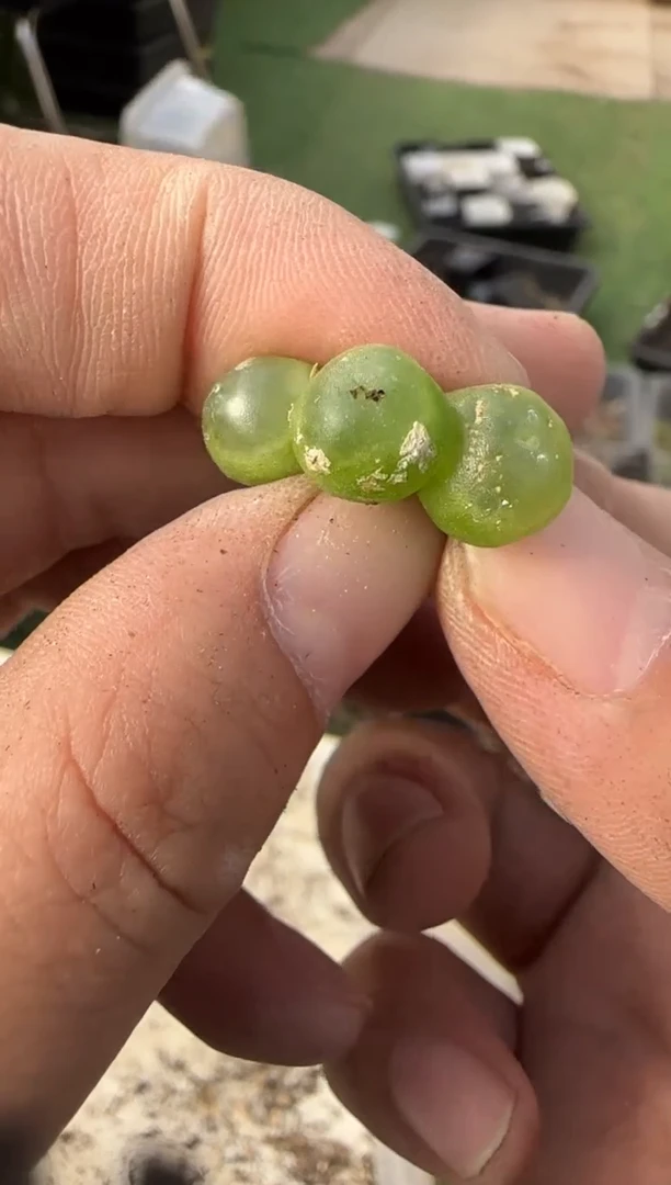 【闪购商品】1-139