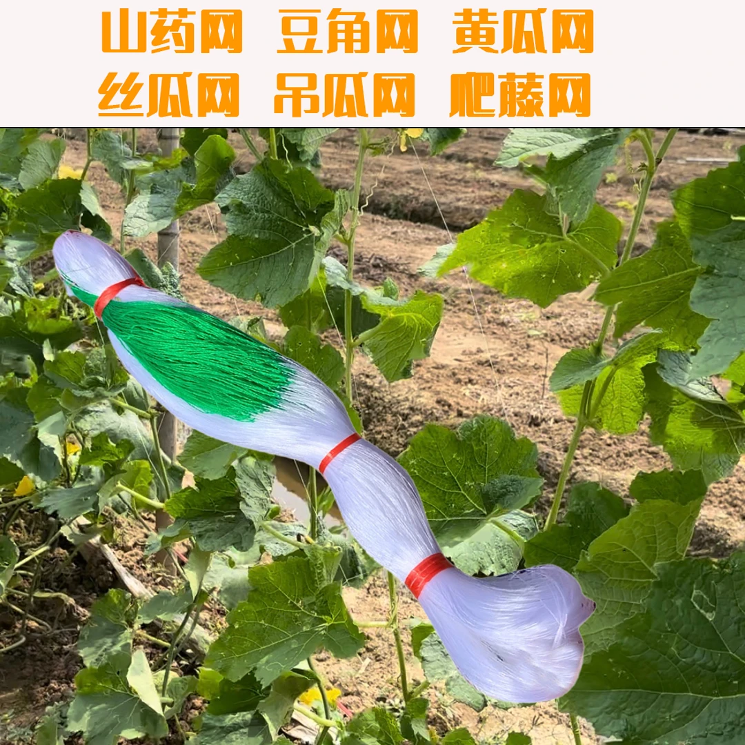 黄瓜苦瓜豌豆丝瓜吊瓜豆角百香果山药植物爬藤网攀爬种植农用