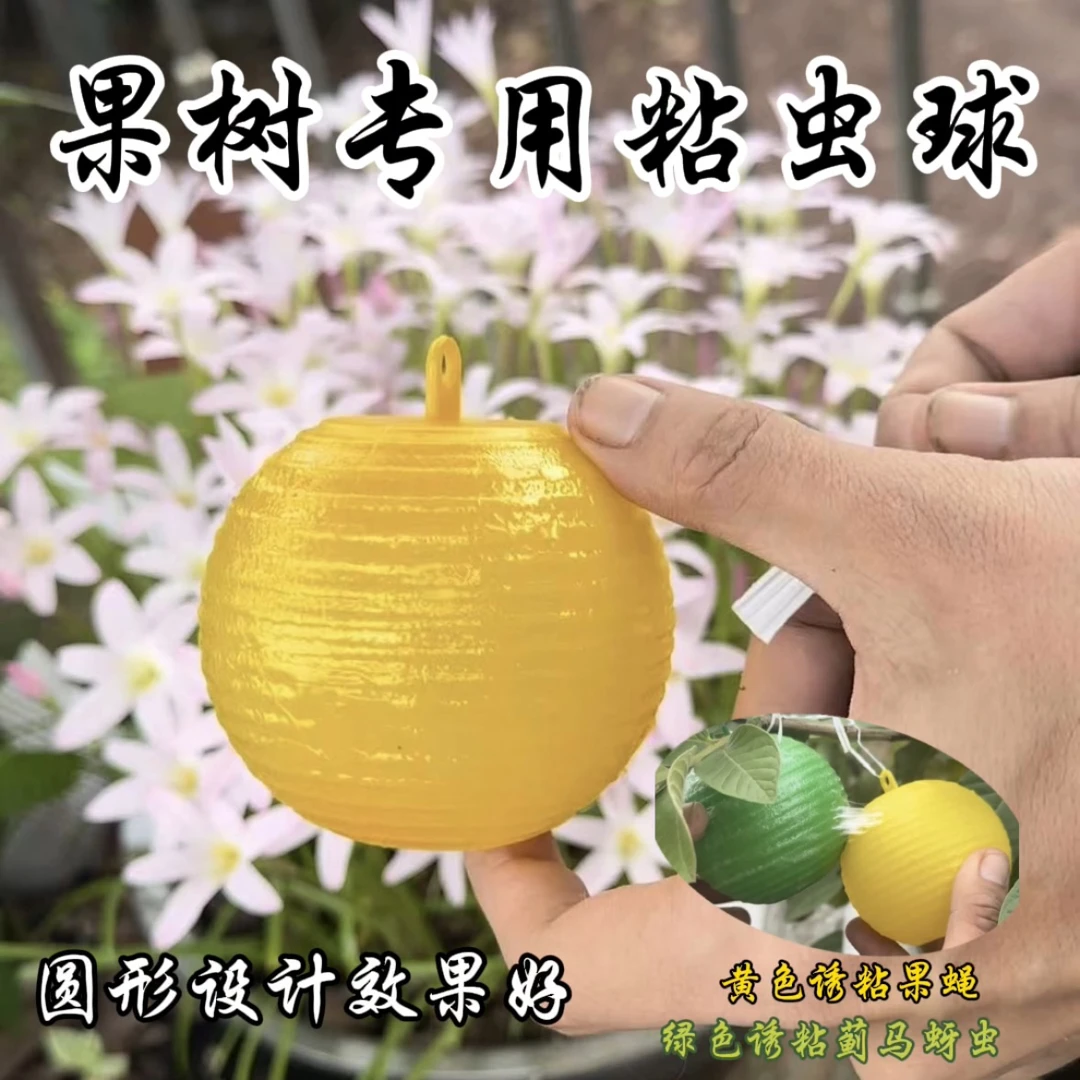 诱蝇球柑橘大实蝇瓜果园树诱捕器灭果蝇粘虫球板诱虫球针蜂引诱剂