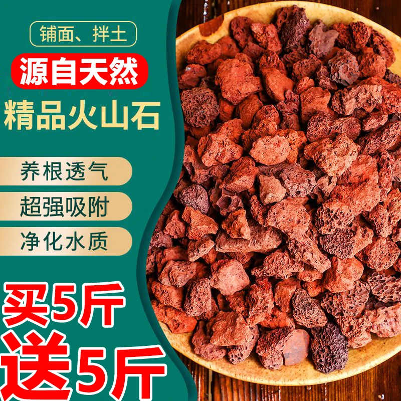 【买5送5斤】火山石兰花多肉铺面鱼缸底砂吸附水中有害细菌鱼缸滤材