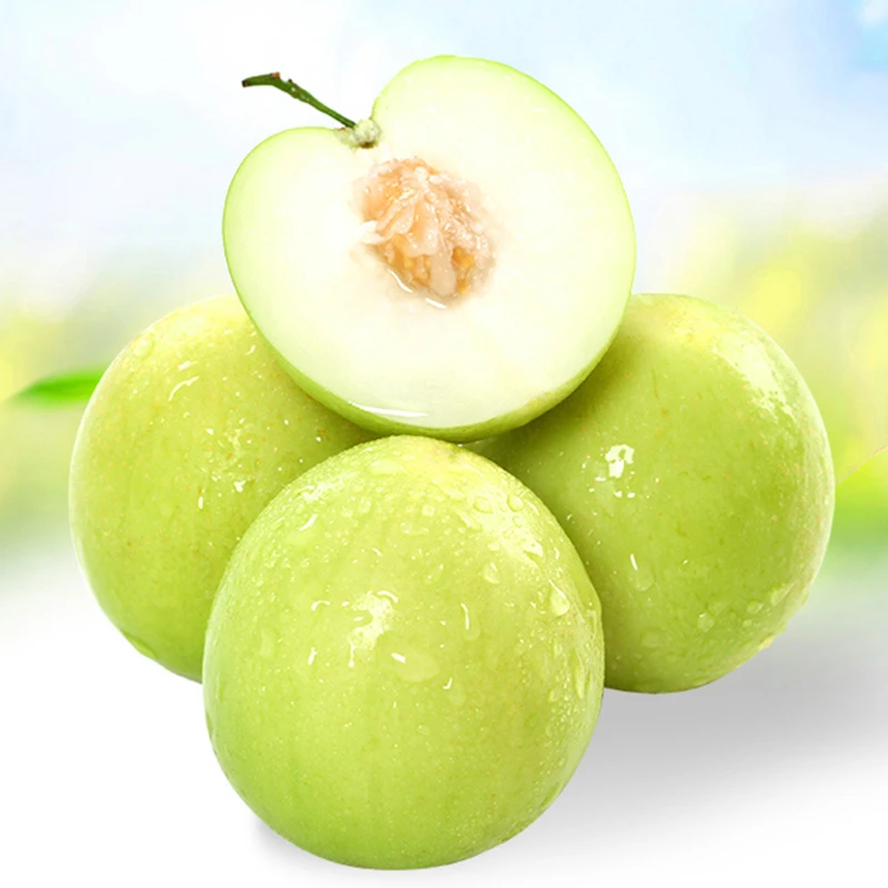 现摘现发福建脆蜜大青枣/贵妃牛奶枣新鲜应季孕妇水果清甜多汁