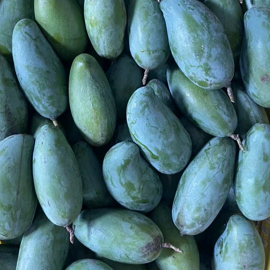 百色桂七芒果【花皮】