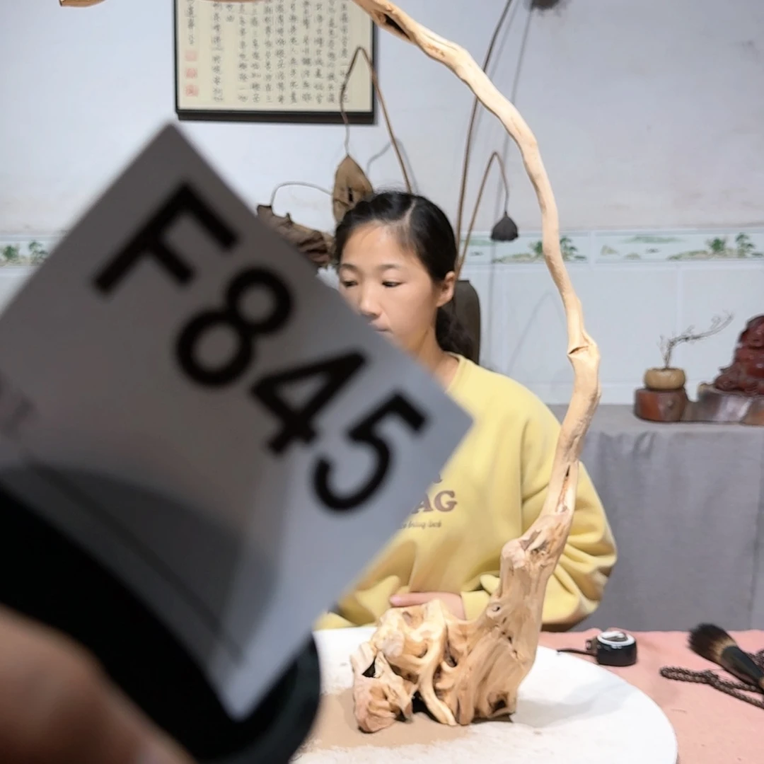 【闪购商品】1阳*123456