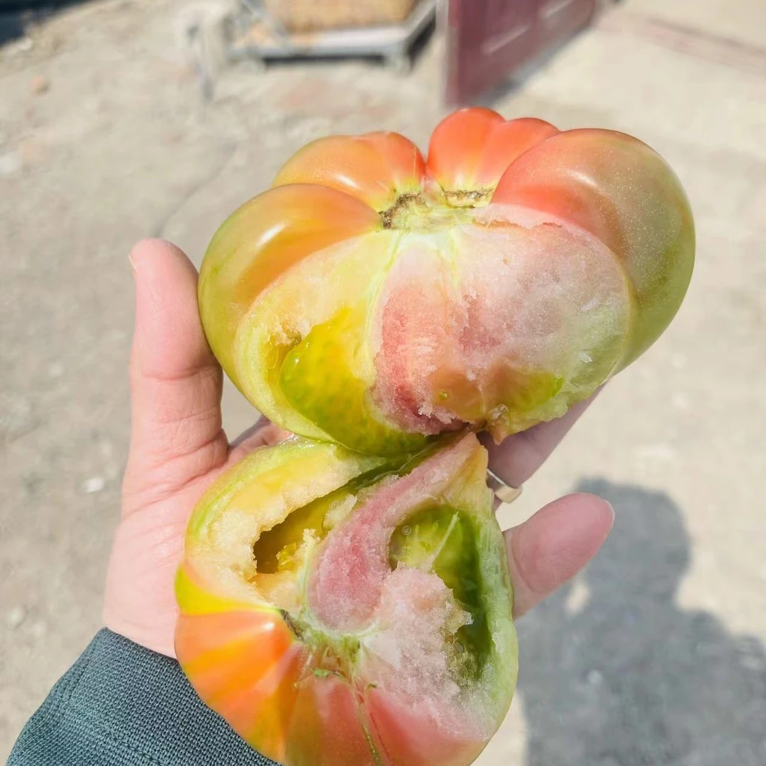 欢坨一线西红柿镭射纹翡翠籽薄皮飘沙小时候的味道京东上楼