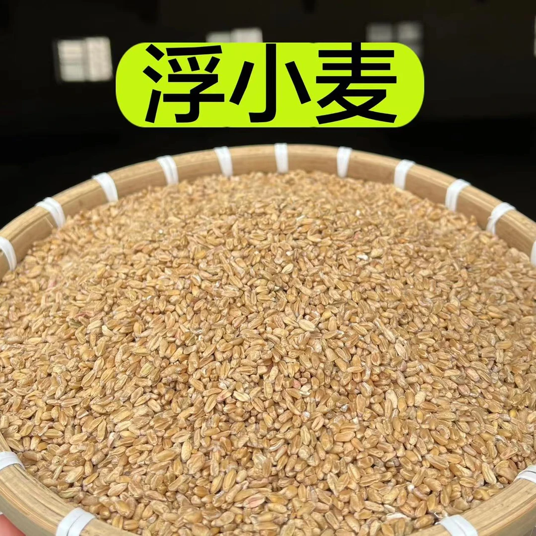 【浮小麦】甘肃农户浮小麦 种植小麦搭配皂角米使用 250克包邮