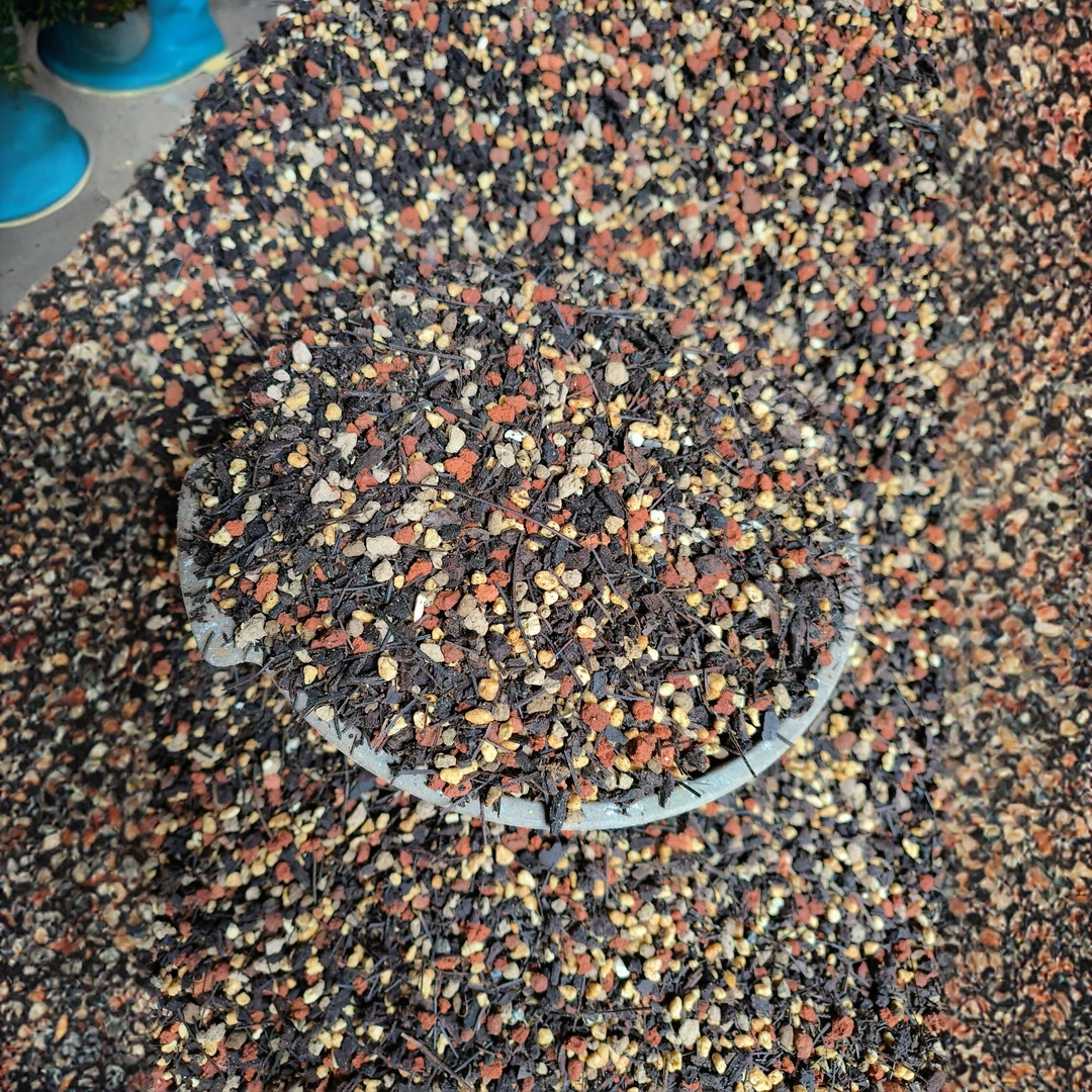 精品新品护茎土，发根发芽好，1.5公斤包邮，新疆青海，西藏三个都不