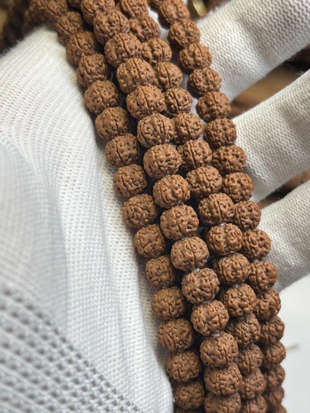 老树梅花脖挂小金刚