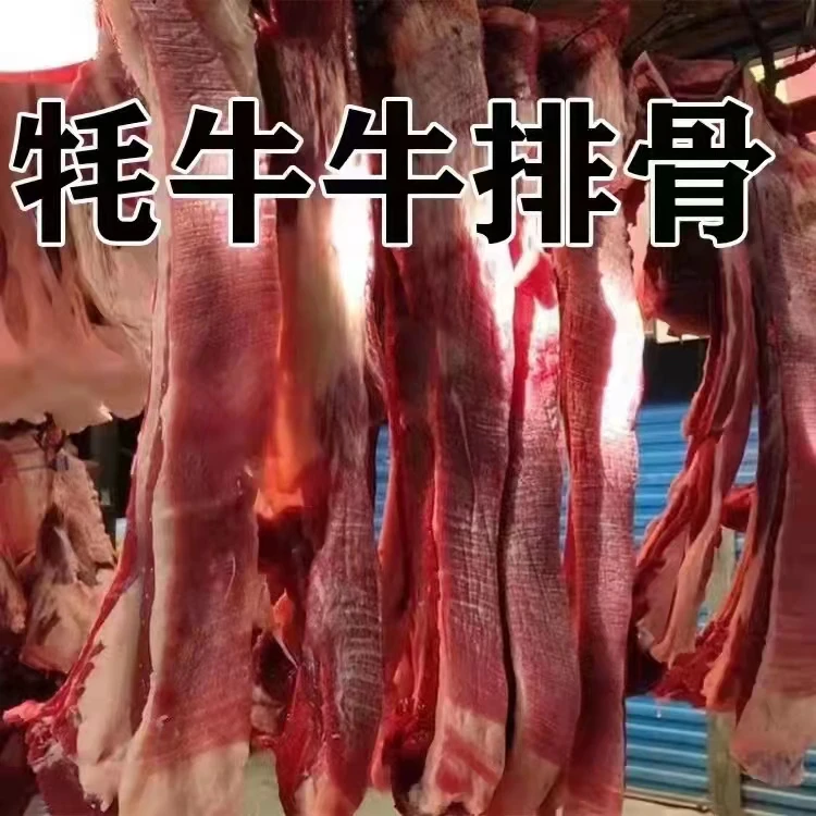 青藏高原新鲜牦牛肉 牛排骨(带骨头)5斤