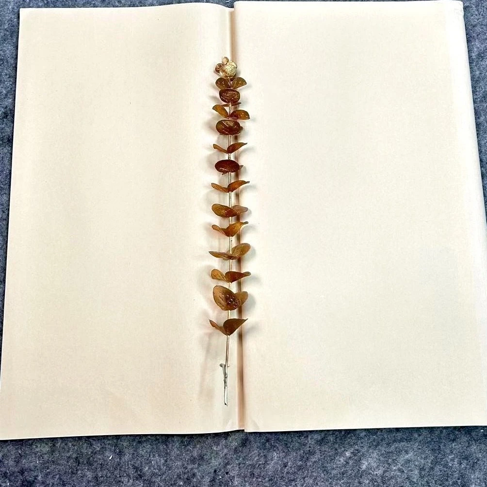 【拍一包到手五包】仿手工元书纸40x70cm仿古书法纸半生熟（50张/包）