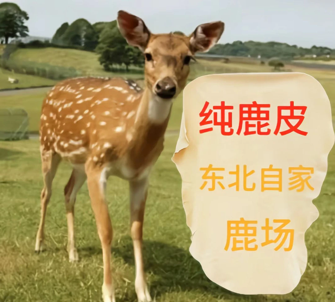 鹿皮擦车巾 擦车布洗车毛巾 吸水抹布擦车抹布不留痕不掉毛