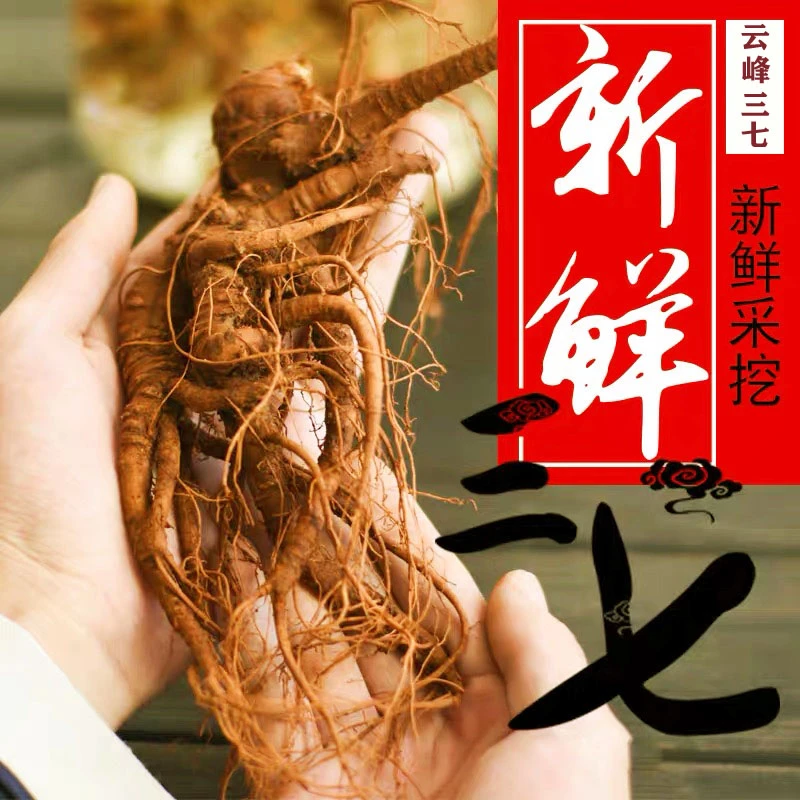 【新鲜三七】6-8个一斤【泡酒.切片晒干.煲汤】