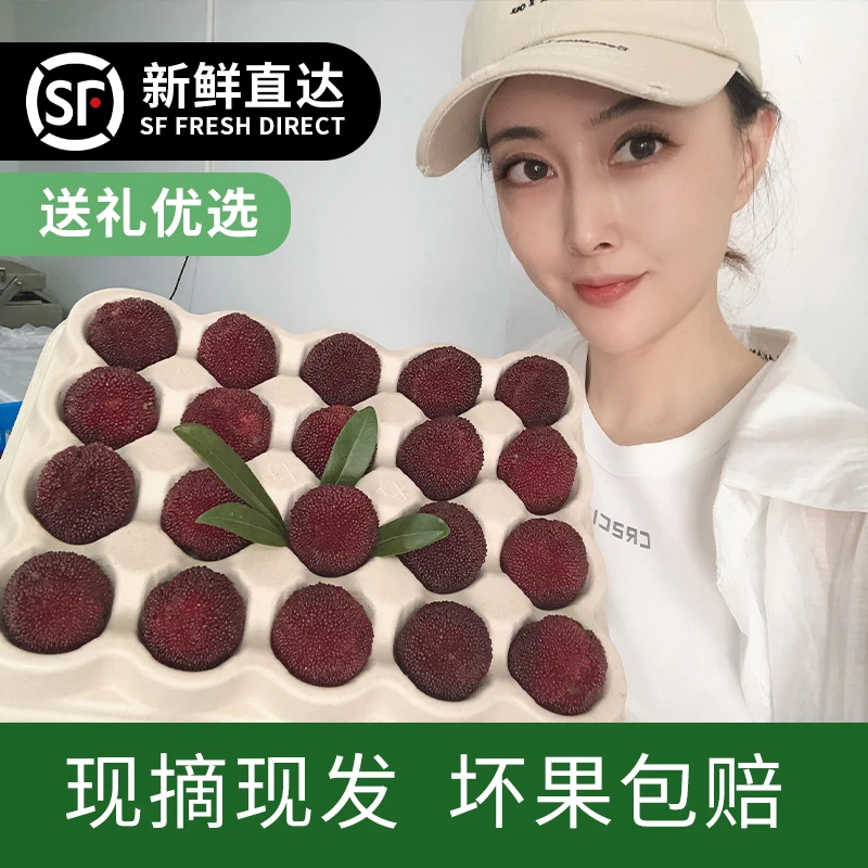 仙居正宗【高山东魁杨梅】10A大果顺丰冷链新鲜凌晨现采现摘礼盒装