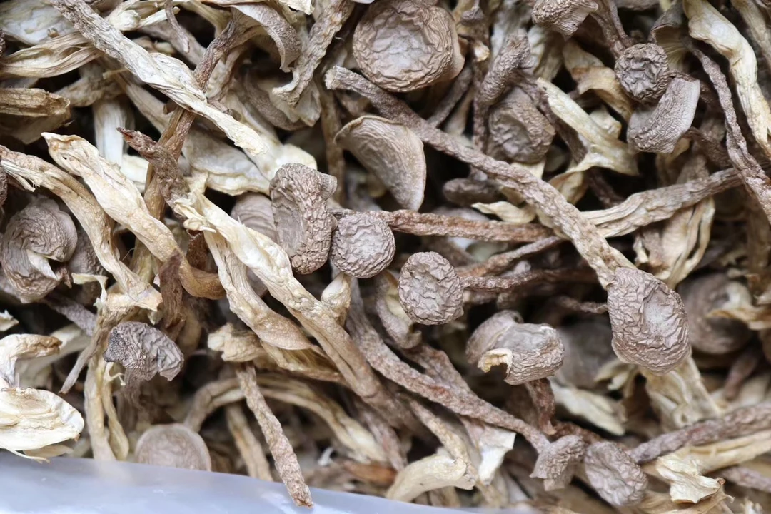 YOUQIANHUA/友钱花福建土特产脆脆鹿蓉 菇250克500克装初级农产品