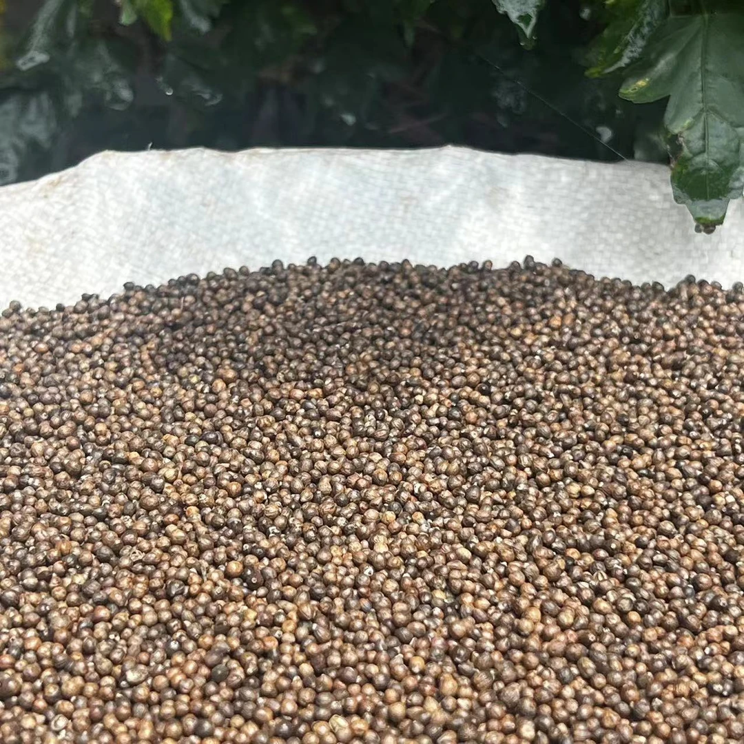 舍得深山好物【YYZ羊羊籽】