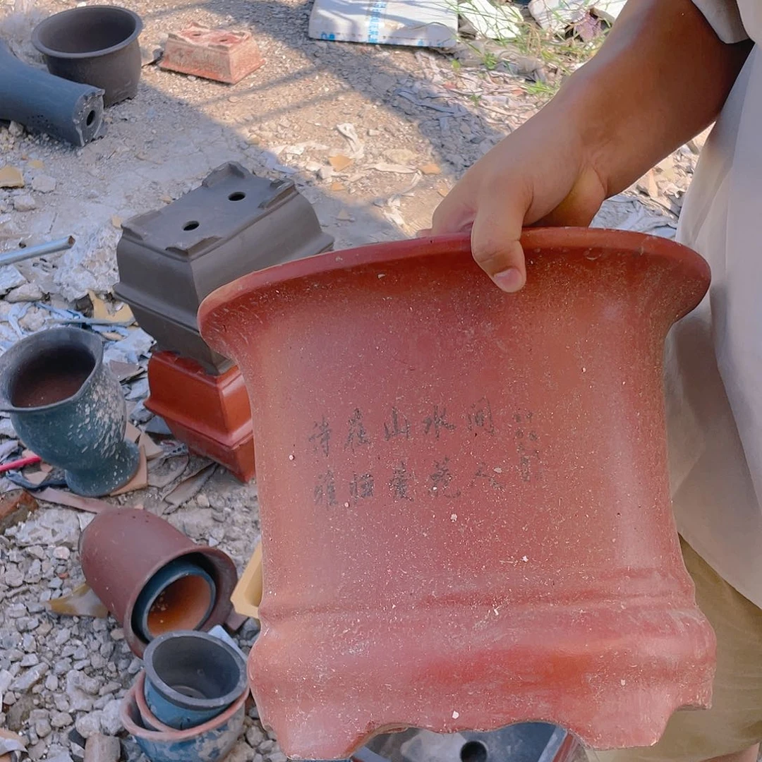 紫砂20CM（含）-50CM（不含）干净利落