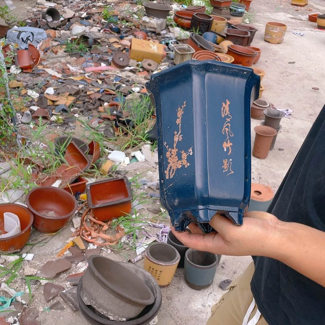 紫砂20CM（含）-50CM（不含）干净利落