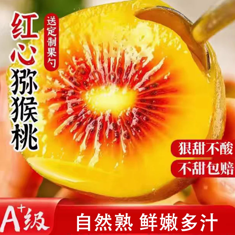 河南红心猕猴桃原产地直发新鲜孕妇水果坏果包赔{专属果勺}
