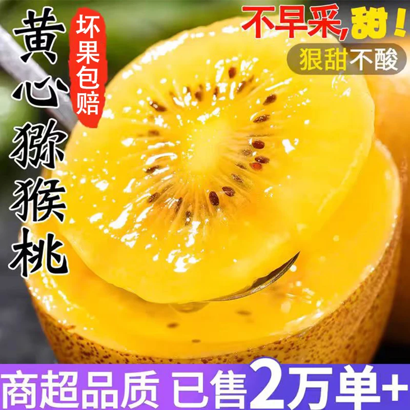 河南西峡黄心猕猴桃果园新鲜孕妇水果鲜嫩多汁源产地直发坏果包赔