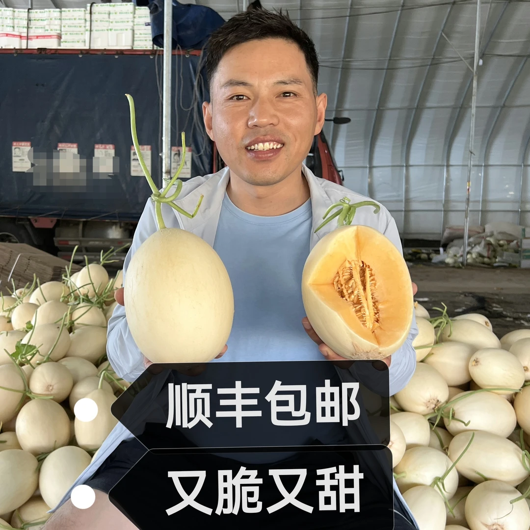 【涛子自营】山东头茬红金蜜甜瓜5斤，7斤顺丰包邮（脆甜口）