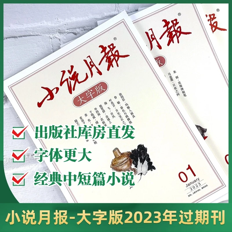 【小说月报-大字版】23、24年全套杂志期刊过期刊/25年订阅名家经典