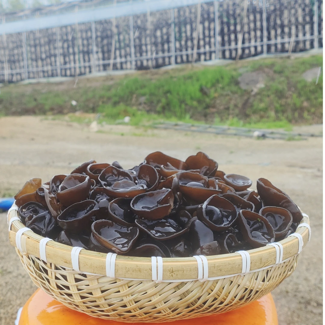 东北黑木耳精选干货，营养丰富口感软糯，无根肉厚自然晾晒产地直发