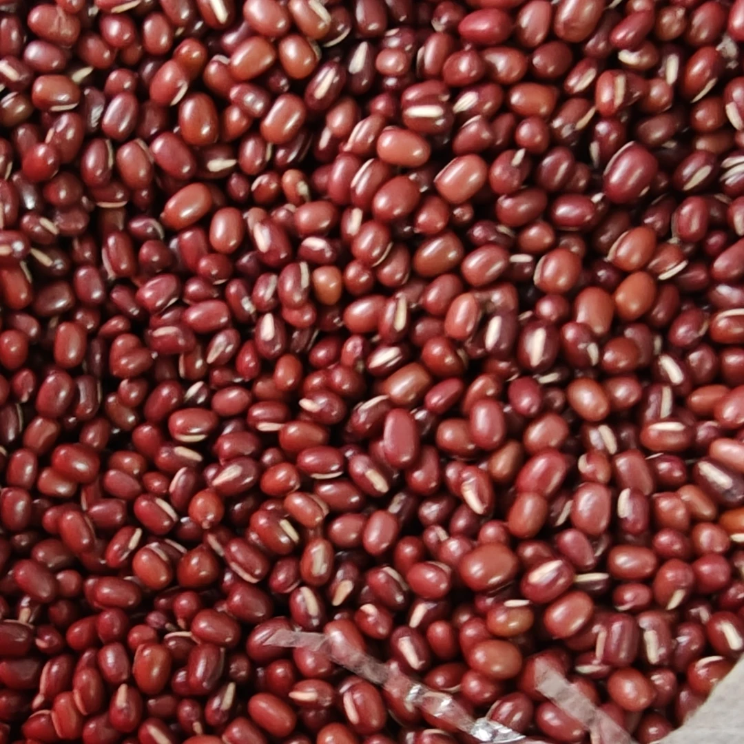 长白山红豆5斤（日本品种薄皮）