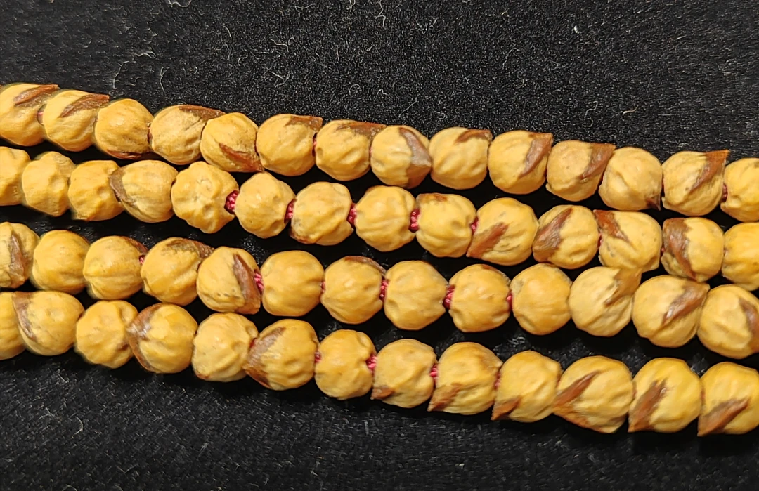 一款红油皮红牙口原桩斜打小金豆百香籽，尺寸5，皮质油性好，福利款