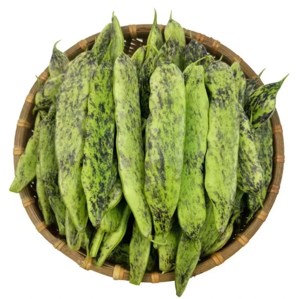 东北大马掌豆角开锅烂油豆角顺丰包邮