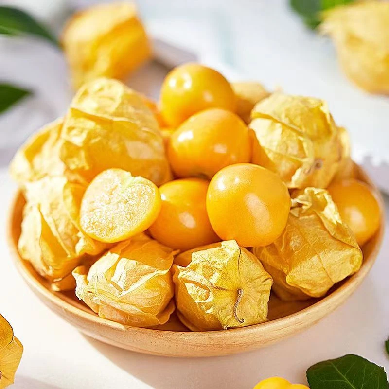 洋姑娘新鲜黄菇娘爆甜多汁东北应季水果顺丰包邮