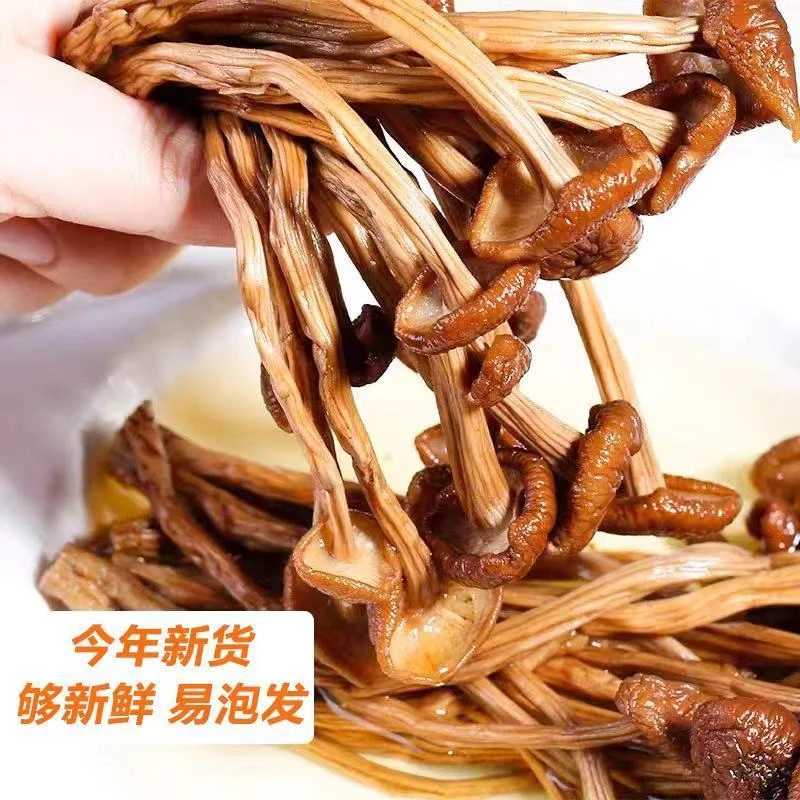 陇南康县特产新鲜鲜嫩不开伞茶树菇干货煲汤菌包农家产地直发
