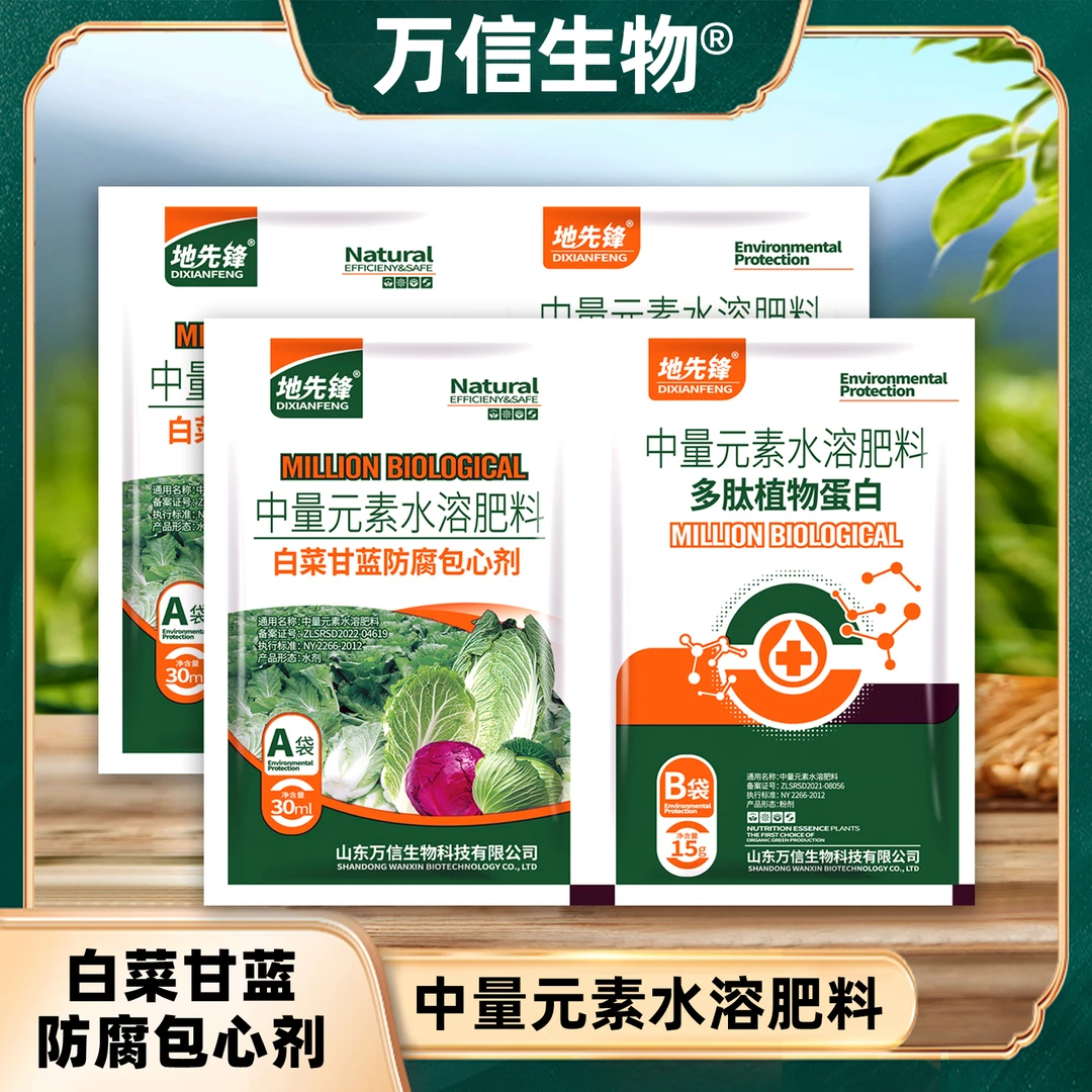 白菜甘蓝病全治白菜专用药大白菜烂根黄叶腐烂软腐病灰霉病杀菌剂