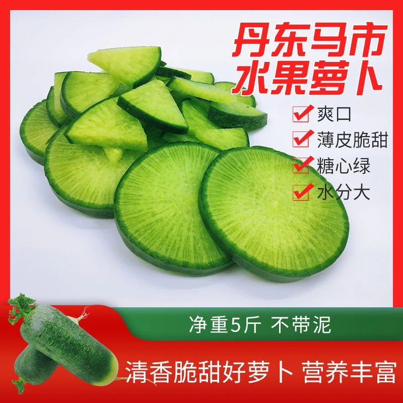 【邮政助农】正宗丹东马市水果萝卜薄皮脆甜营养丰富