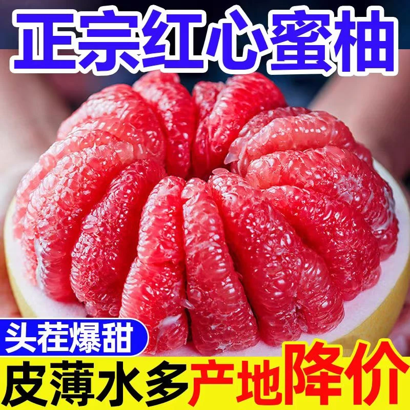 正宗福建平和琯溪红心蜜柚新鲜水果多汁饱满肉嫩产地果园种植现摘