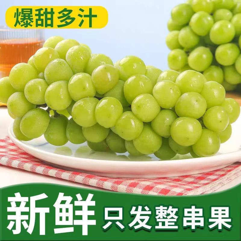 【整果】阳光玫瑰精品果纯甜的味道