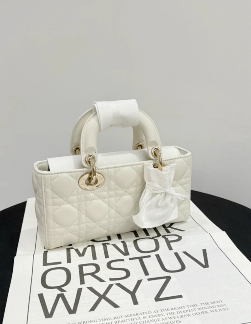 全新未使用 DIOR/迪奥 djoy横版白金戴妃小号 全套 拍下送中检