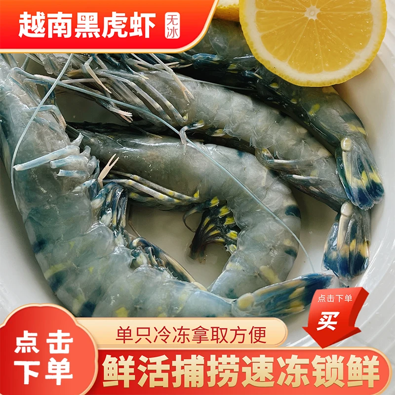 黑虎虾大个头虾鲜活速冻新鲜深海无冰衣单冻锁鲜2.5斤/盒