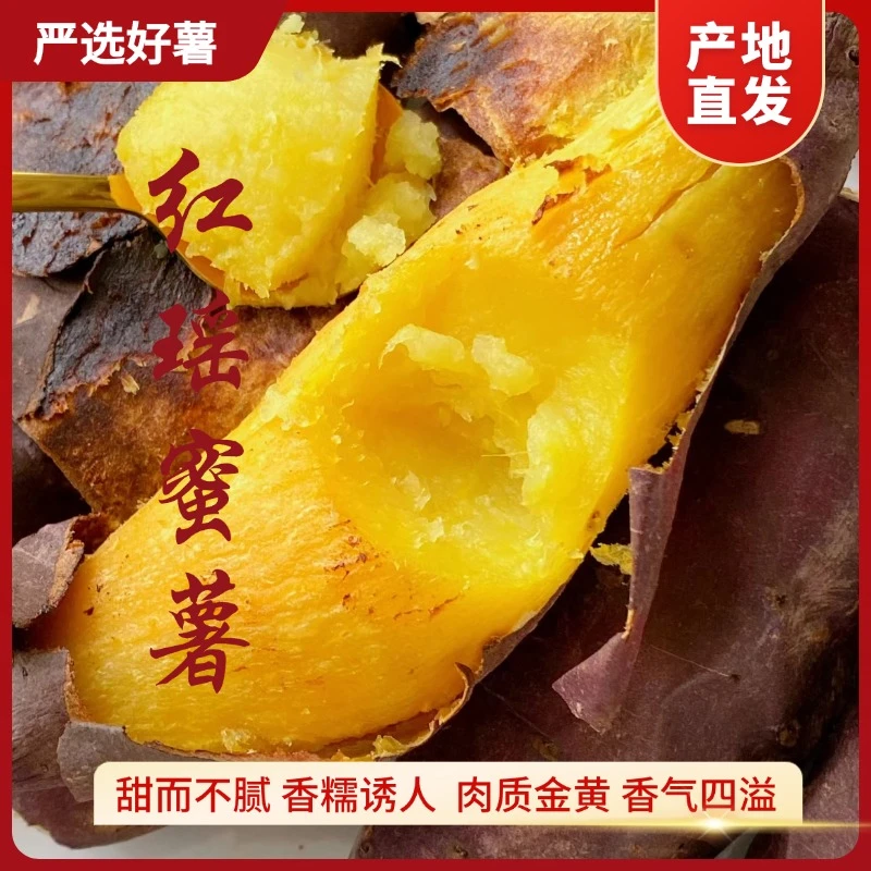 烟台海阳红瑶蜜薯 口感醇厚软糯香甜红薯产地直发包邮5斤装