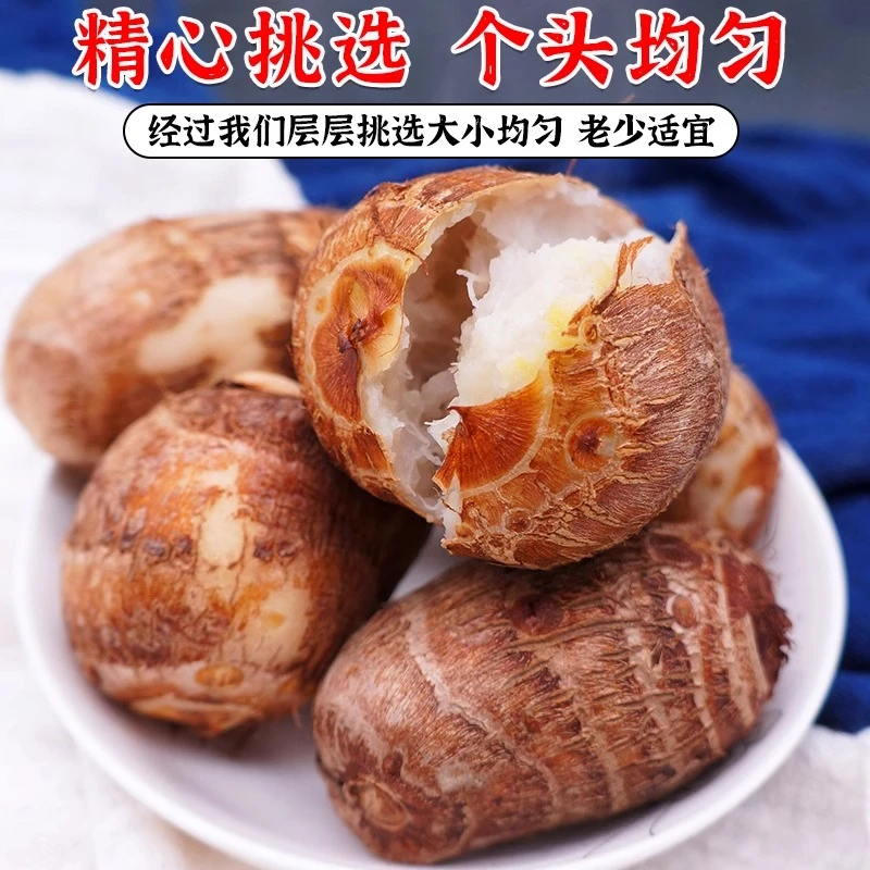 山东牛奶芋头新鲜现挖小毛软糯香滑农产品芋艿新鲜蔬菜竽头小香芋
