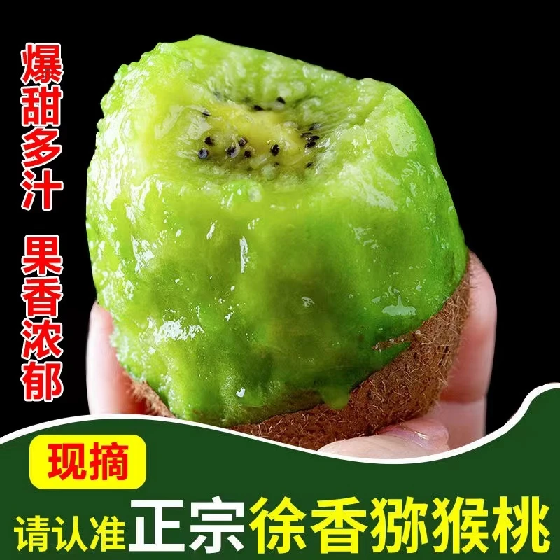 【刘老师专属】陕西绿心徐香猕猴桃 新鲜水果 应季鲜果 坏果包赔