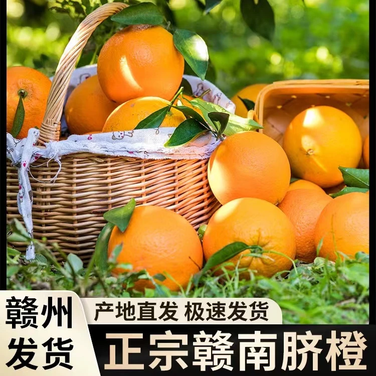 正宗江西赣南脐橙6 现摘现发 新鲜水果 爆甜多汁 产地直发4.5斤装