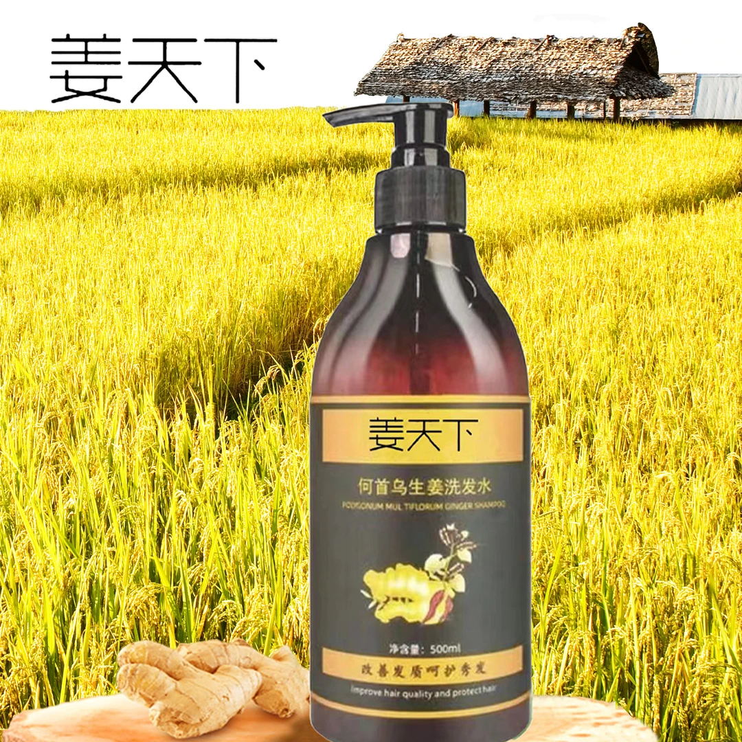 姜天下何首乌生姜洗发水草本秀发柔顺润发滋养清洁洗发水大容量