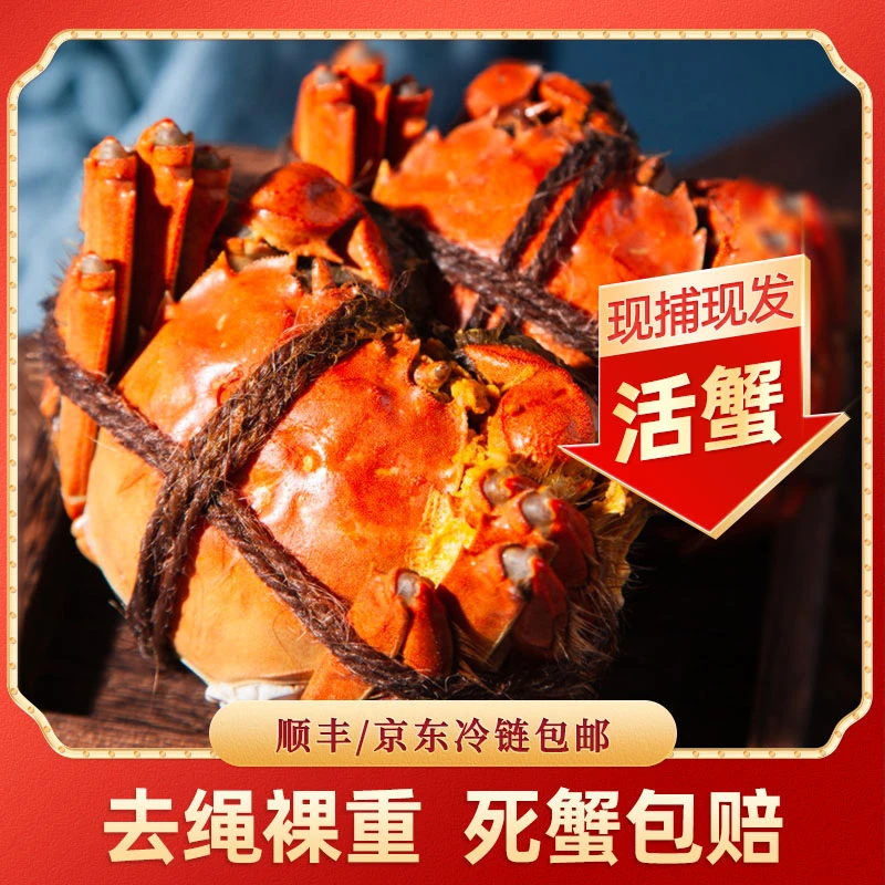 【感蟹礼】活蟹全公蟹10只大闸蟹螃蟹礼盒装正宗优质严选品牌