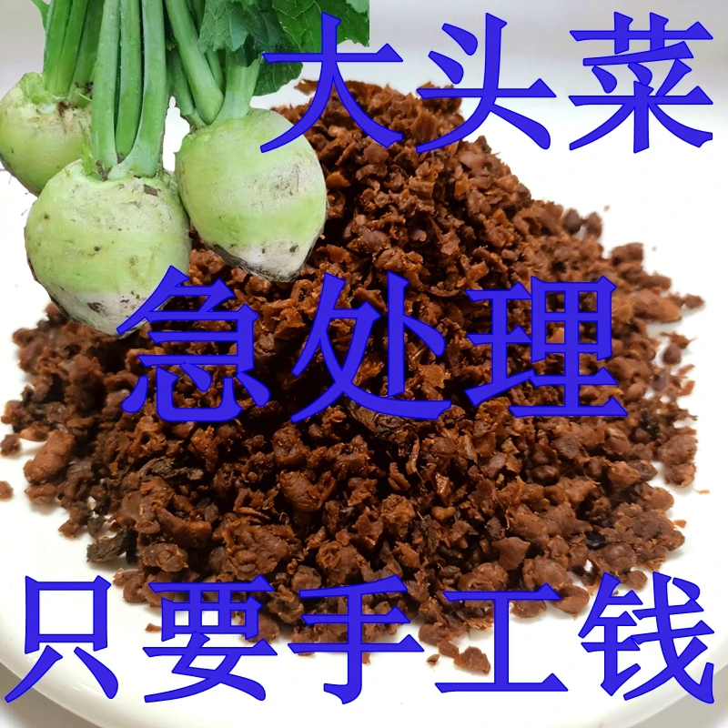 四川盐菜正宗农家大头菜纯手工腌制咸菜商用扣肉梅干菜餐饮批发颗