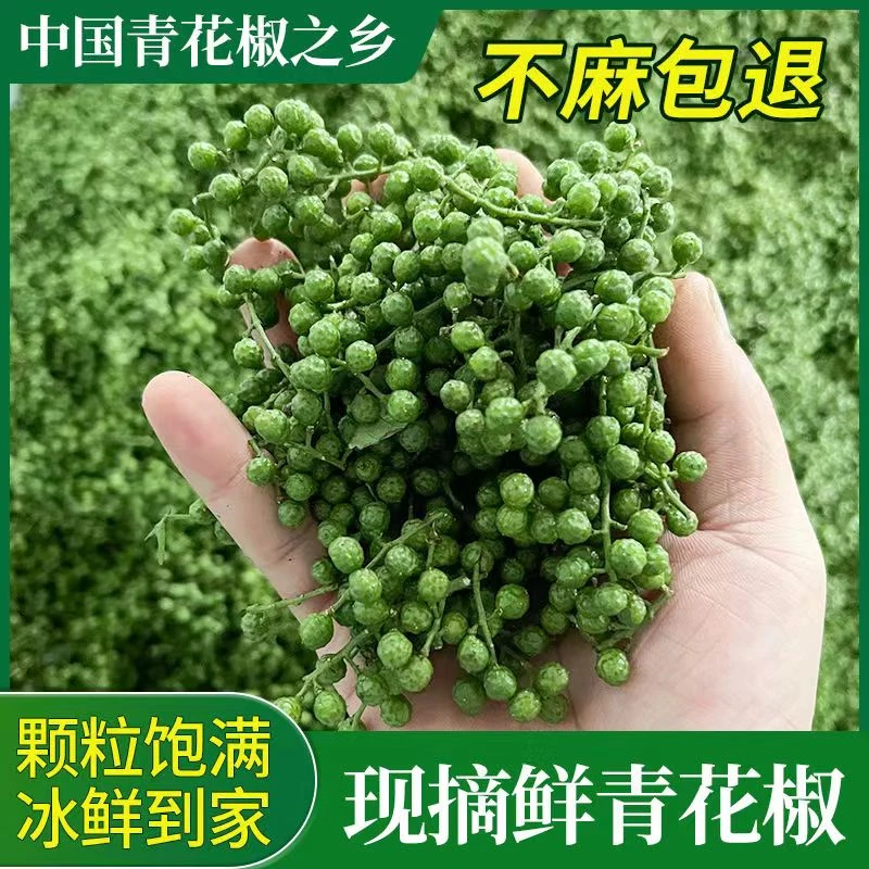 正宗重庆江津九叶青花椒粒保鲜花椒现摘特麻特香四川