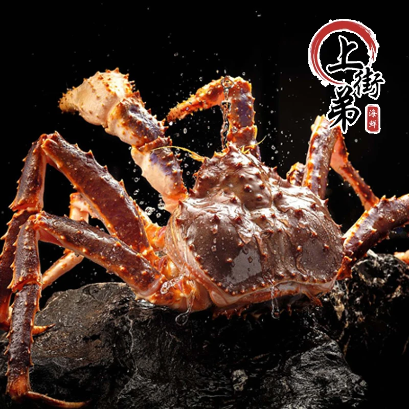 【礼盒帝王蟹】上街弟推荐肉质饱满新鲜帝王蟹鲜甜深海（冷冻）
