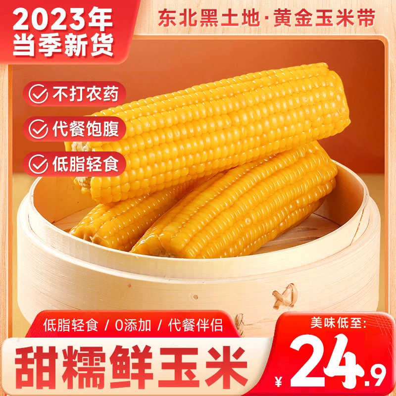 东北铝箔糯九【整箱净重4.5斤-5斤】真空独立包装黄糯玉米香糯玉米