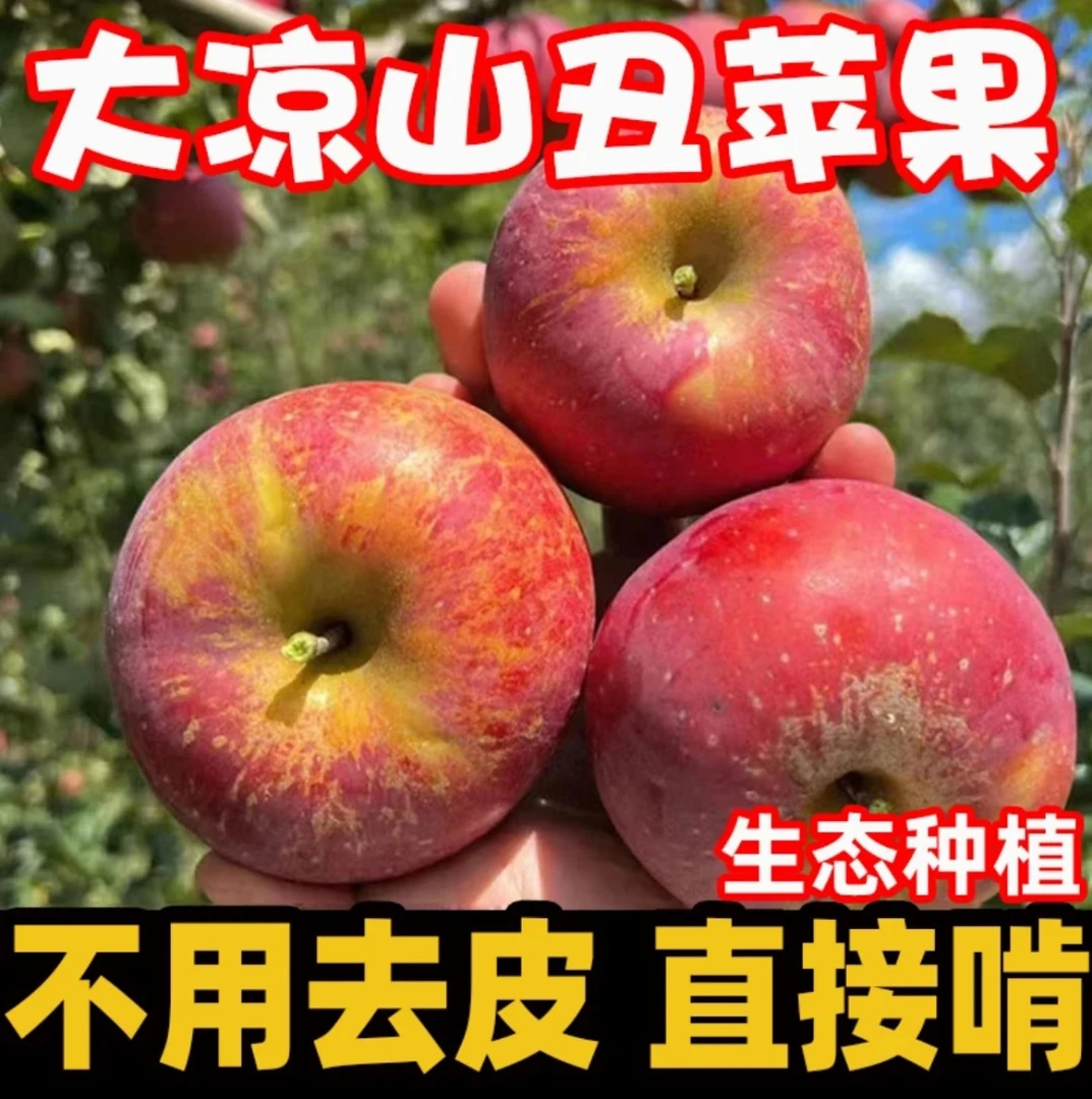 正宗大凉山冰糖心苹果超甜超脆新鲜现摘新鲜苹果带箱5/9斤包邮