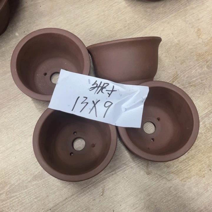紫砂20CM(含)-50CM(不含)弯*柳