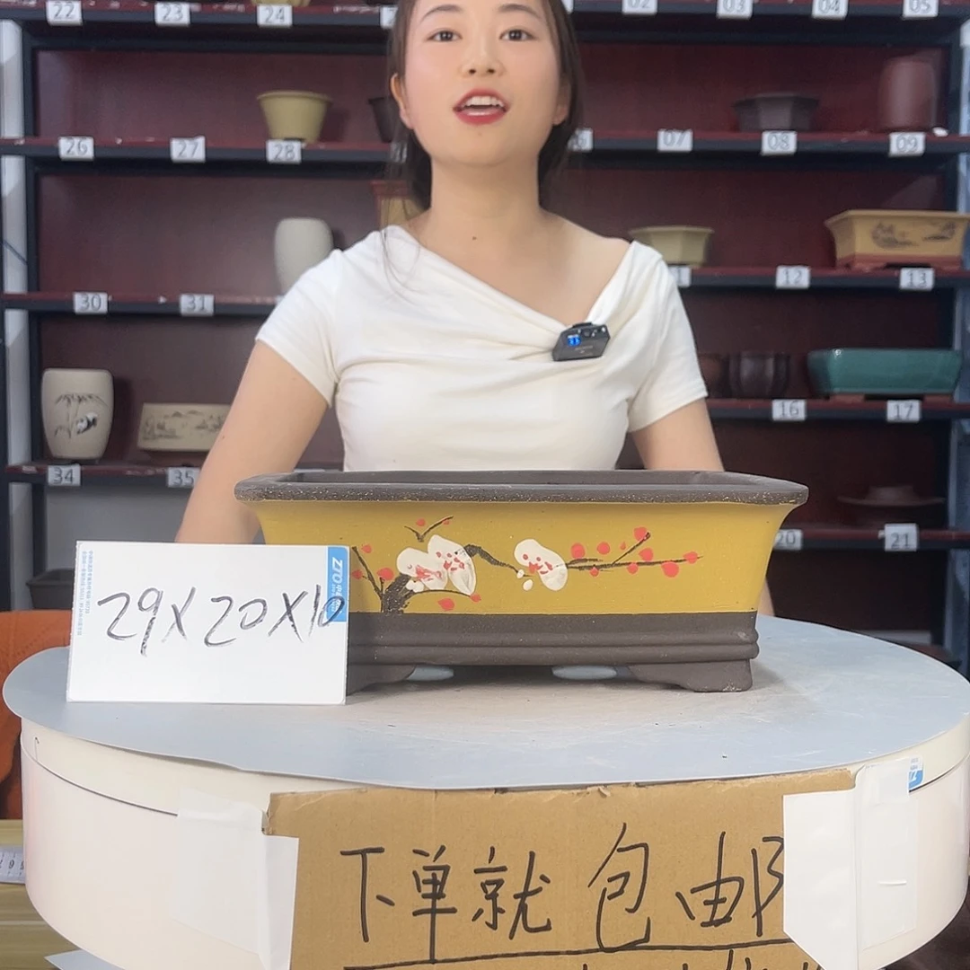 紫砂20CM（含）-50CM（不含）