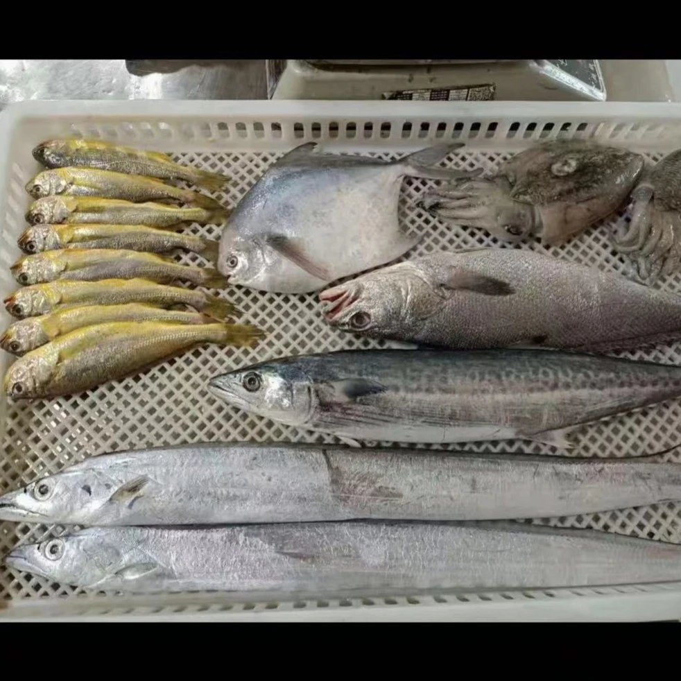 (1号现场称重)宁波石浦东海小海鲜 银鲳鱼 现称现卖链接500g